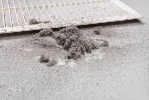 Best Affordable Duct Cleaning Services  in Monon, IN